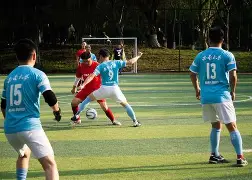  东京奥运会中国柔道队 